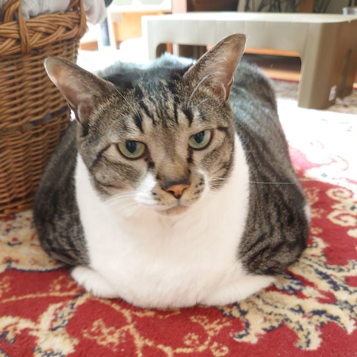 7c837e00 f80c 4984 bb08 4051483c7ba1 1597789772030