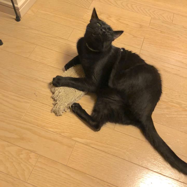 7c83a133 dfe0 492a 9090 ffd6ae184222 1528718412555