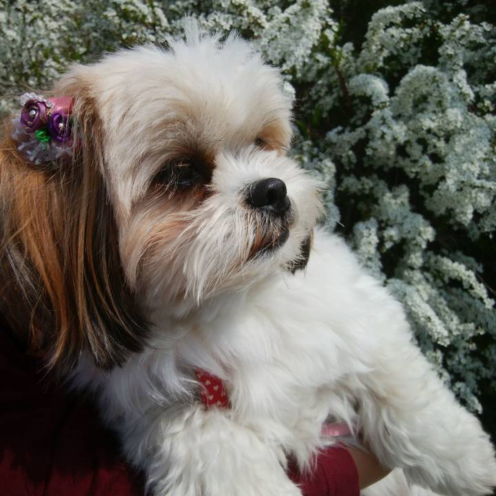 7c83b0e3 aea5 4a7a 9fa8 a08c7bbbd2b2 1522718581850