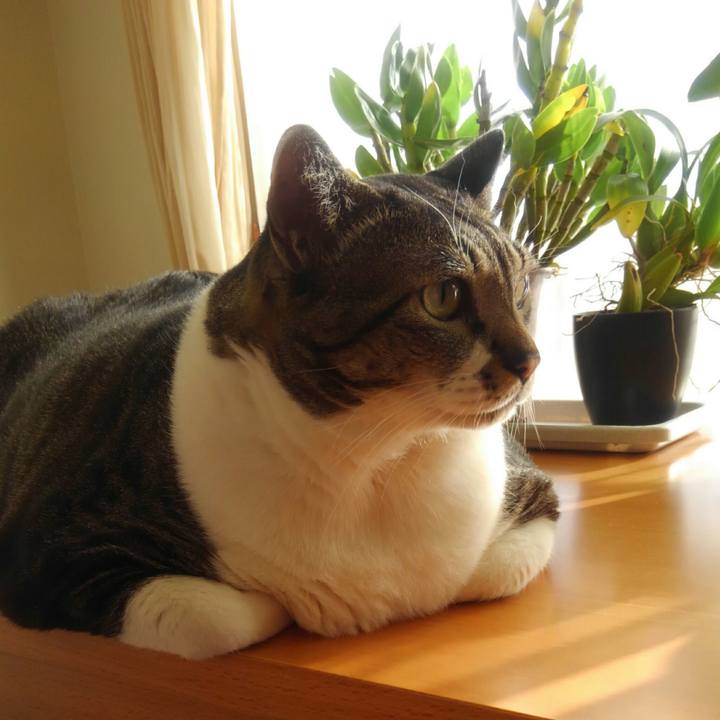 7c83df61 78e6 4518 a0fb 96fdddb972b3 1511479705902