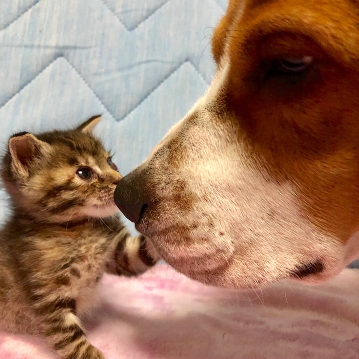 7c83ec18 3877 4988 a072 ed601578ed3d 1556808916550