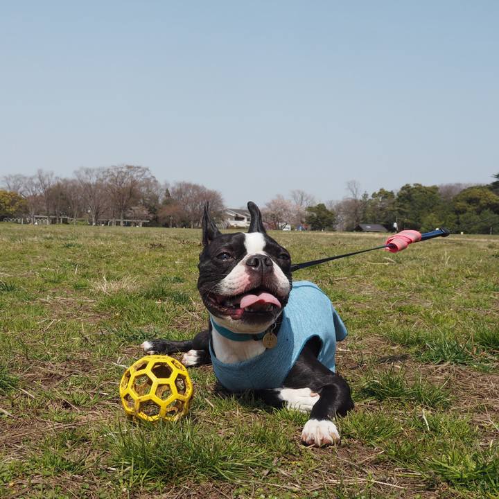 7c83ec3a f437 432f b099 799d36433e4e 1584880469346