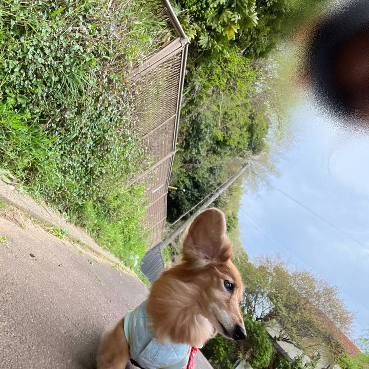 7c8403a7 0077 4c3a a2b1 ac8ce0bbe0d1 1680871450050