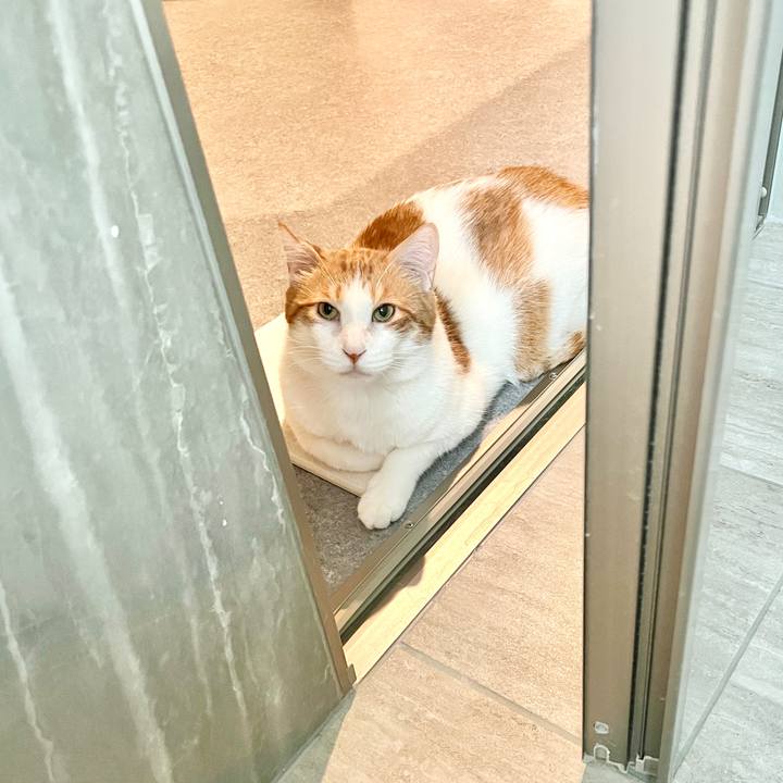 7c842ed0 38a6 4f89 96c4 1cb53850a7fb 1760144501999