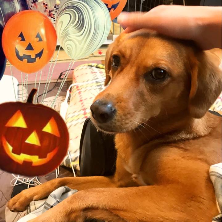 7c844df4 7f04 423a a4e0 3585021ad66d 1509426947401