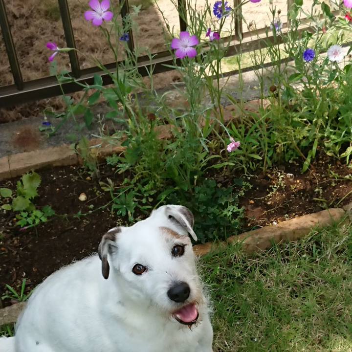 7c848ac0 6457 4d4f a130 9ed92d29b303 1562714900178