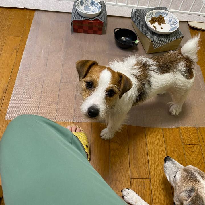 7c8493ea 16cd 451b 9dde 1592a5af3753 1699394214975