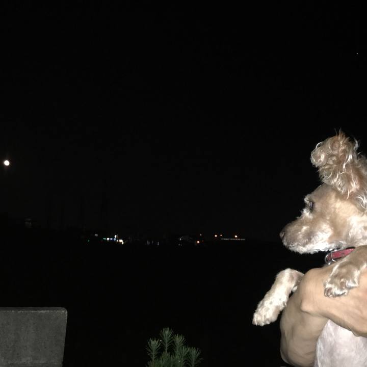 7c852e2a 1789 4b45 98c1 b6dd1800572f 1533042728014