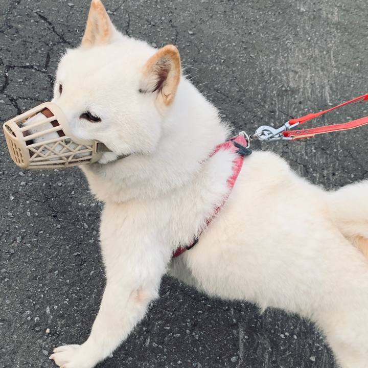 7c854022 5835 4c28 87ca 6581e32febfa 1590092303703