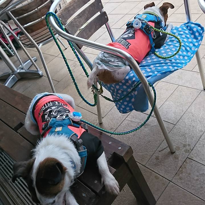 7c8575a7 51c6 4cca a7a9 766a08200458 1591590620783