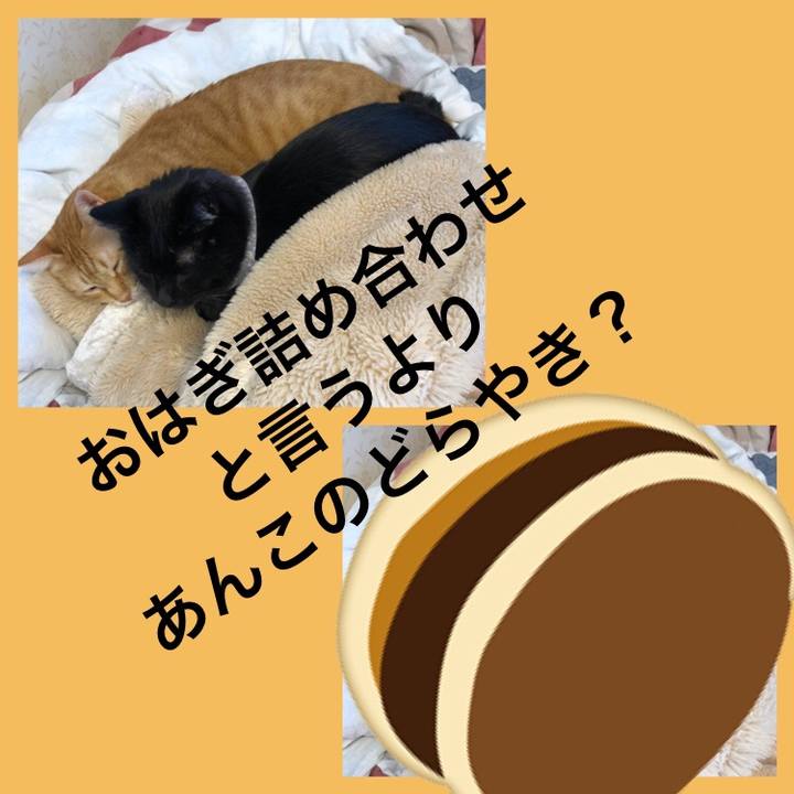 7c859686 4e84 4900 84b1 29331f91d3c1 1573969073199