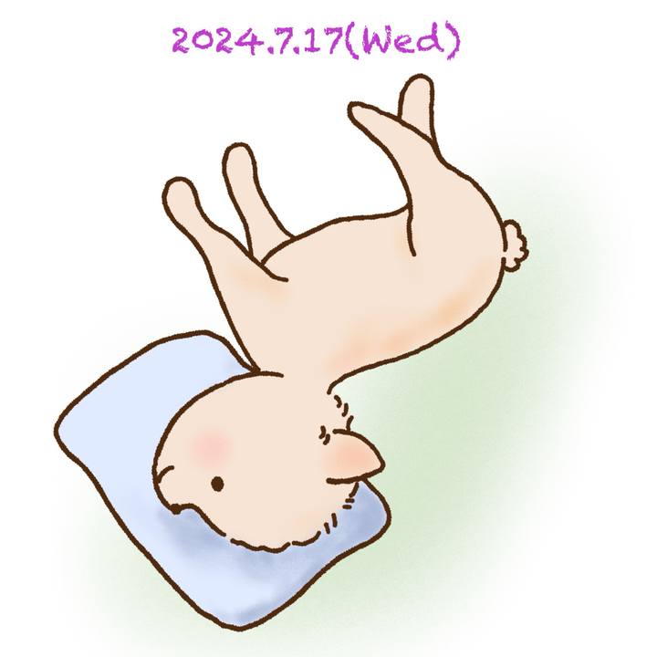 7c85a207 09e7 409e 854c 215d60e7e349 1721216380484
