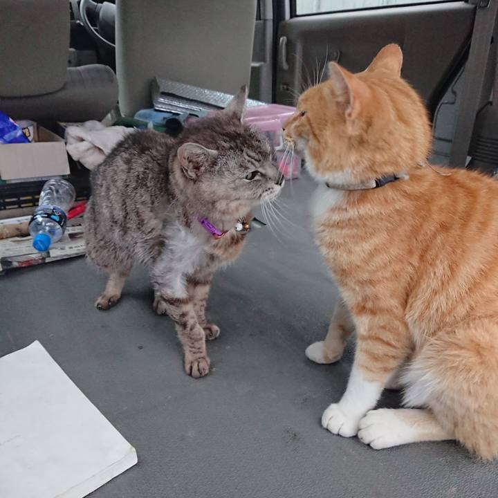 7c85b9ac eb89 4a2c af1f 19eb11eacdbd 1593809782280