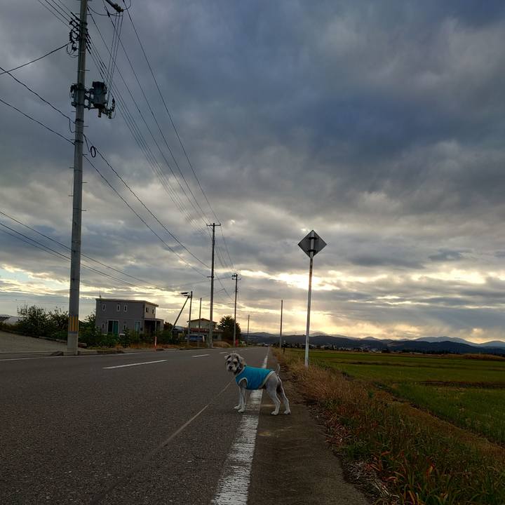 7c85df41 01c3 4ca1 85d3 7c4bc0898a43 1762123162304