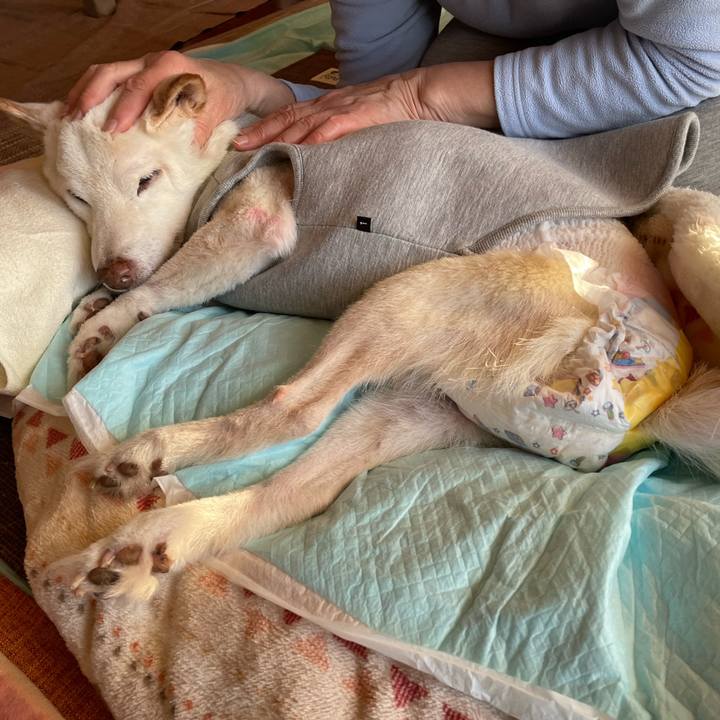 7c863f37 01ae 43f8 bd19 077cd6f9dc67 1671460659976