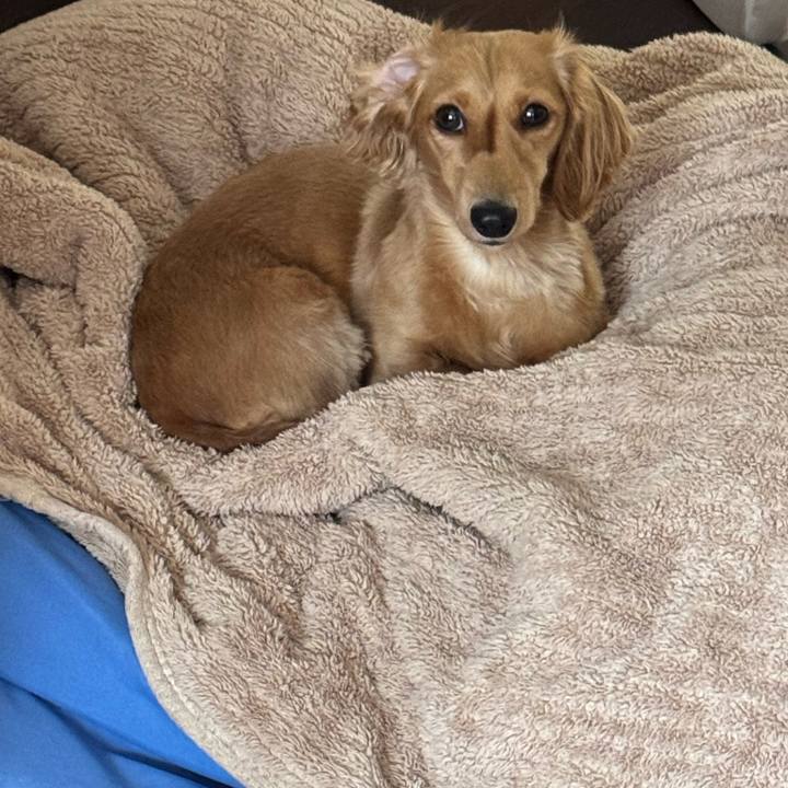 7c8663ca 8791 436b bfef 33fd28987efb 1731754878993