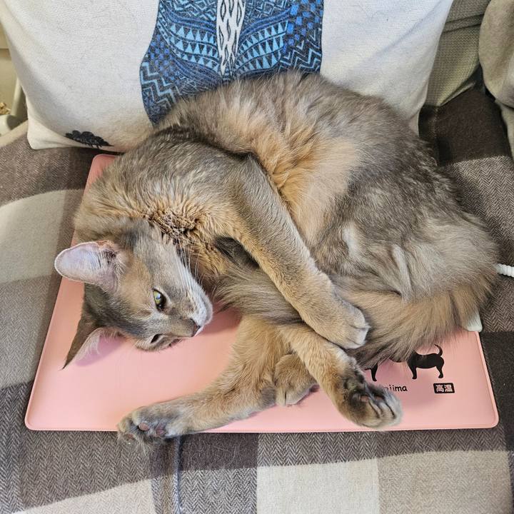 7c86a143 6f4e 4863 bc0d 37c837deb515 1737077547432