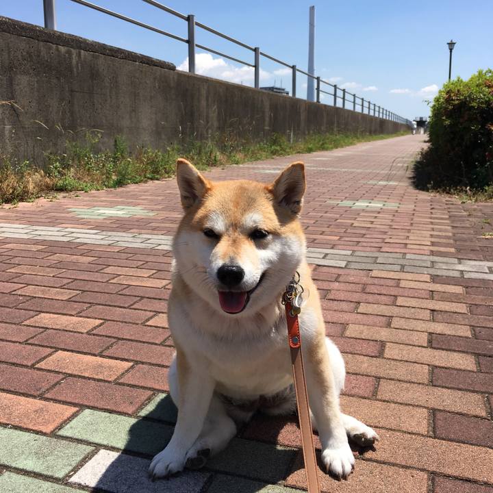 7c86b7bc ca8b 428c 9923 827735fe2737 1559179427056