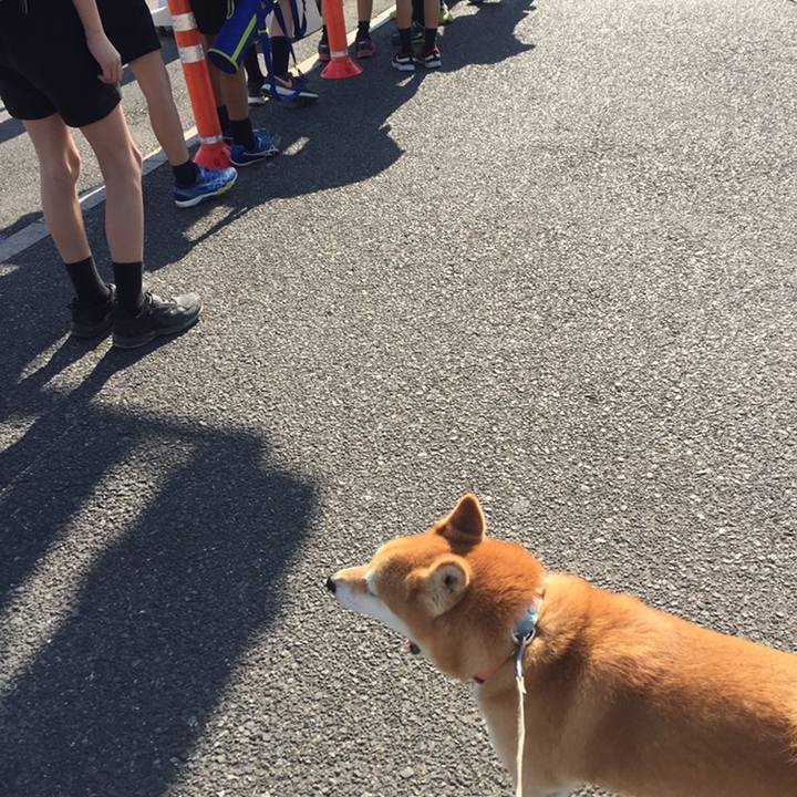 7c86ccad 5a17 4403 9c31 4750f056b6c3 1558572604893