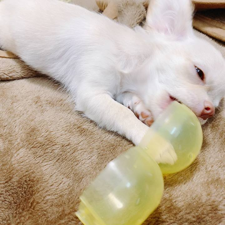 7c86e079 77cb 4a19 b4a9 e2143af89b81 1591179549248