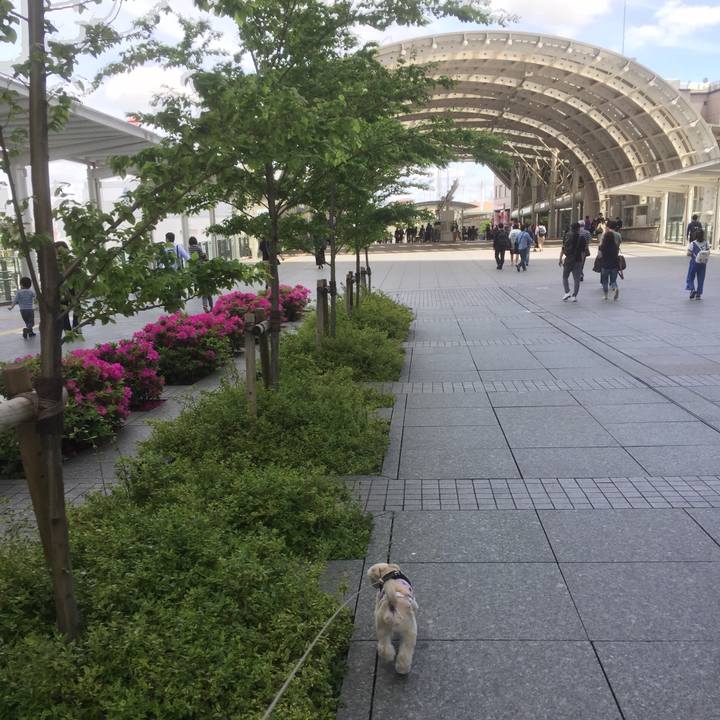 7c87ad47 de3b 481f 9330 fc5bc412dec9 1556693759634