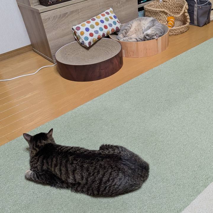 7c87b38a 8bde 46e9 9f6f 8b1665ddfbd9 1752045052091