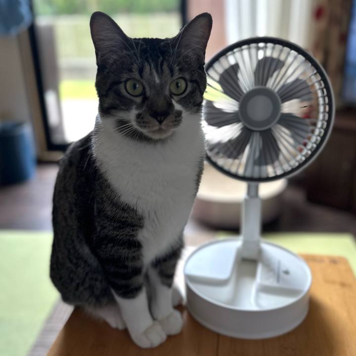 7c87d068 371e 47e8 958a 77f7c04069db 1692075704554