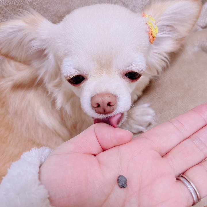 7c87d28b 3b85 4216 9df5 78d44e28f950 1677836420523