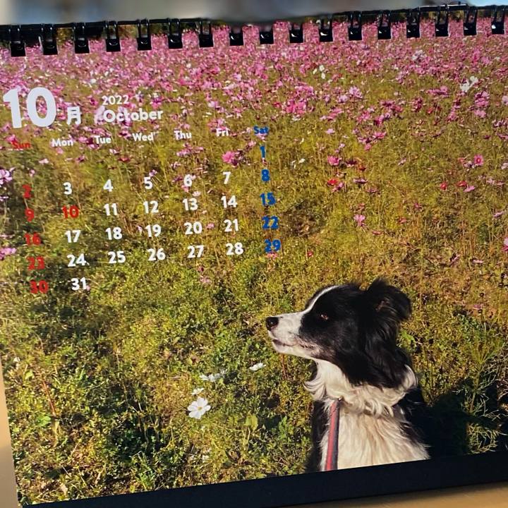 7c87dcf7 ba3a 4e1a 9c06 a3fc8da5d247 1664575841367