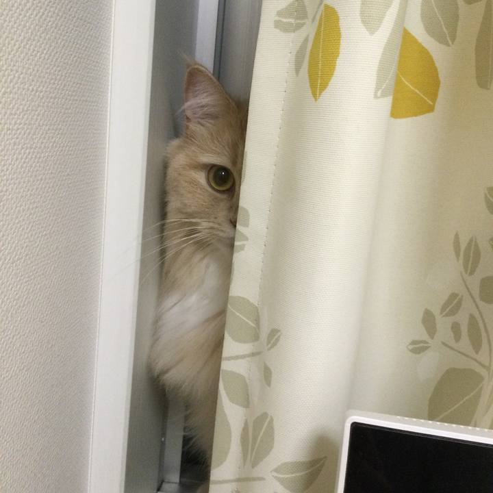 7c880f50 0c9a 46fc b28b f70944865238 1660308436412