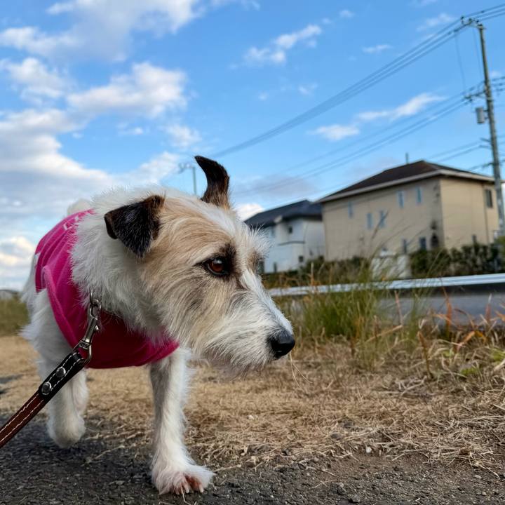 7c887eb4 9067 40e7 b1f4 5e88e513ece0 1767620184565