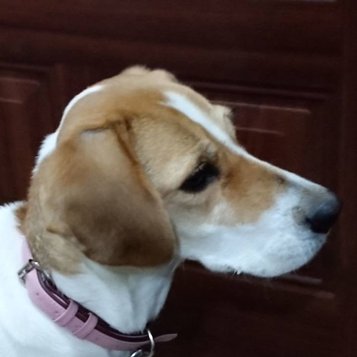 7c88c3ba d09e 41c6 b967 50786c1e1b7d 1577705703261