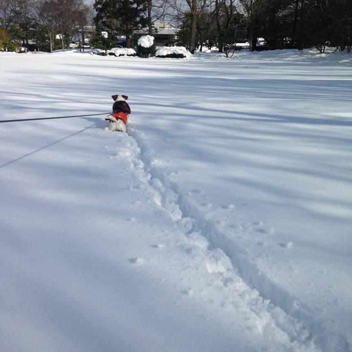 7c88e0c7 fa23 4f4a 8af5 b297bb338a86 1765507748010