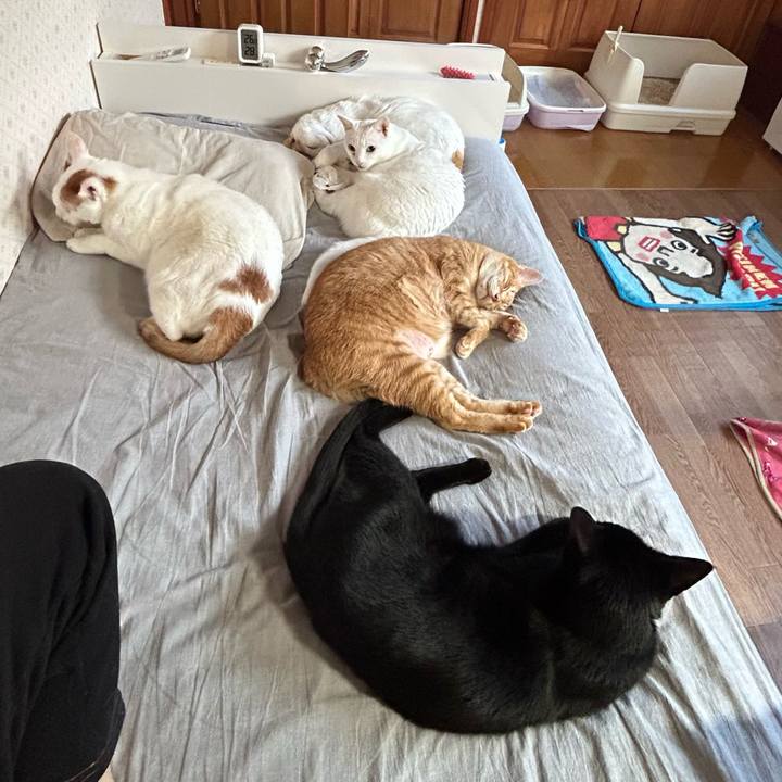 7c8907ad 13b5 4e5b a02e 8fc046aeb1d4 1672354542107