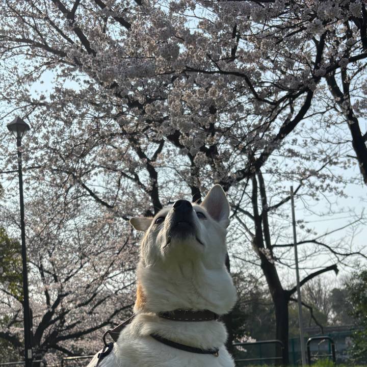 7c890b76 e692 4926 9820 e53b980e0396 1774775107711