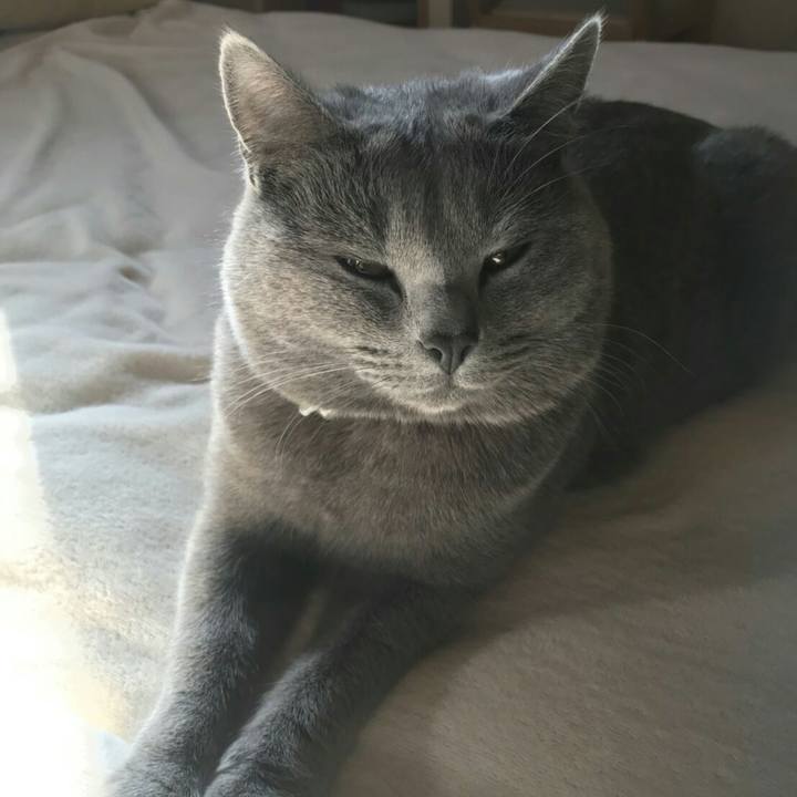 7c895d17 6fec 4db2 98b9 eeedee59b8bd 1513054229183