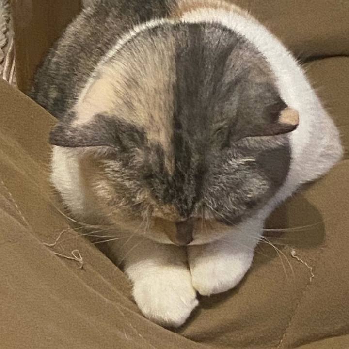 7c8977e9 6ce5 4ecd 9de4 5e0a1cc3596b 1730543685674