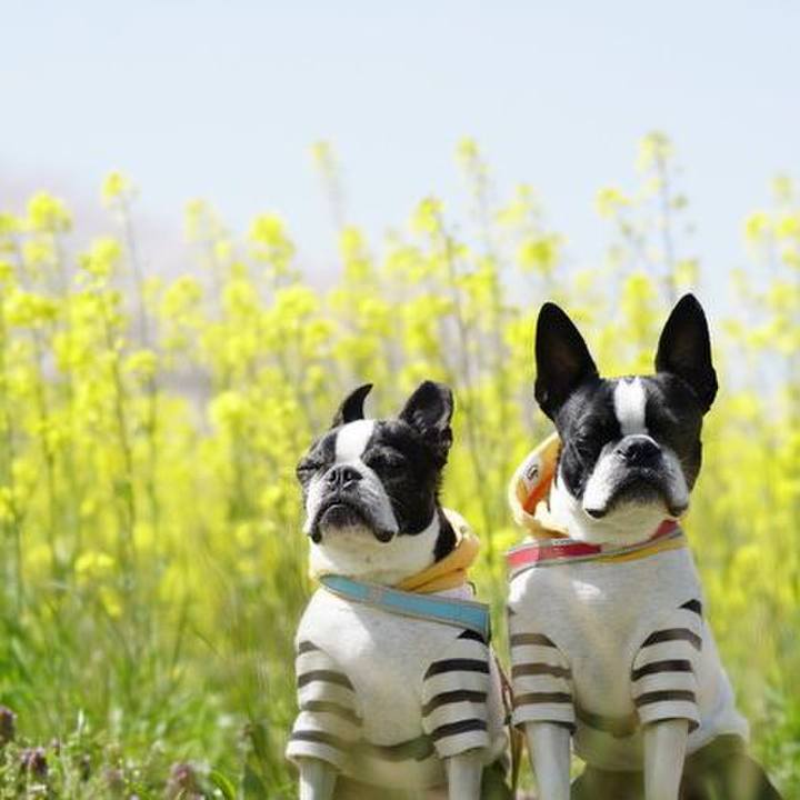 7c897bf2 0483 4cf7 86f6 a676c7b8fc54 1522400192183