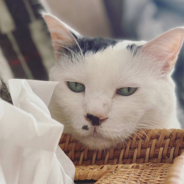 7c89a772 3781 457f 8bea 678e9c4b0a12 1651758686999