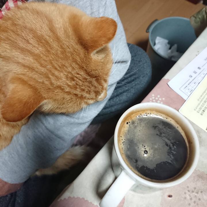 7c89befb 0b19 4e8e a75c 4536e368866b 1607543310622