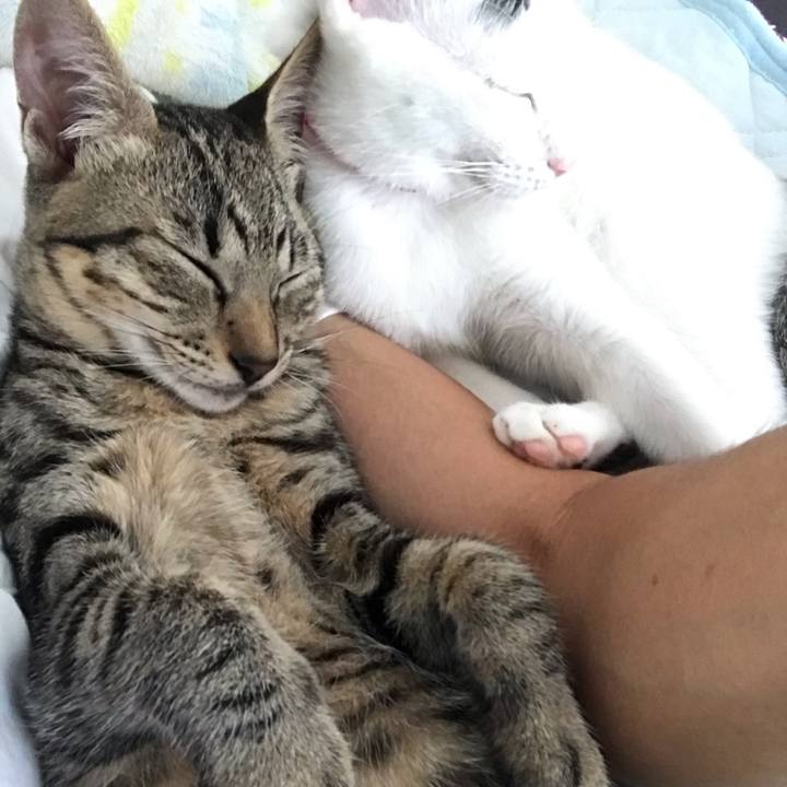 7c89e0fd c1ea 4e6e 8046 231e4a873461 1569315868873