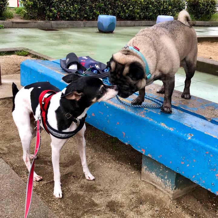 7c89eb83 9bd6 4820 9353 68e2ddd33808 1556232778945