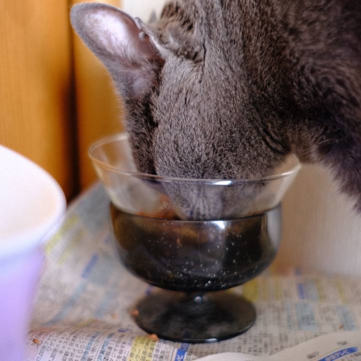 7c89f8ac 39db 497a 827d 68c086f92147 1576397054074