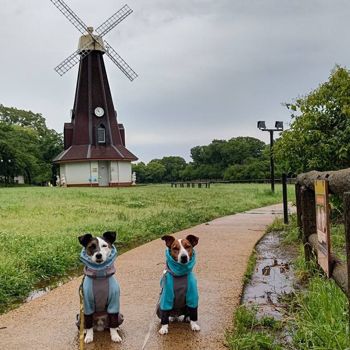 7c89fdca c0a2 4b73 8db8 e573aa2ab5f0 1685753917077