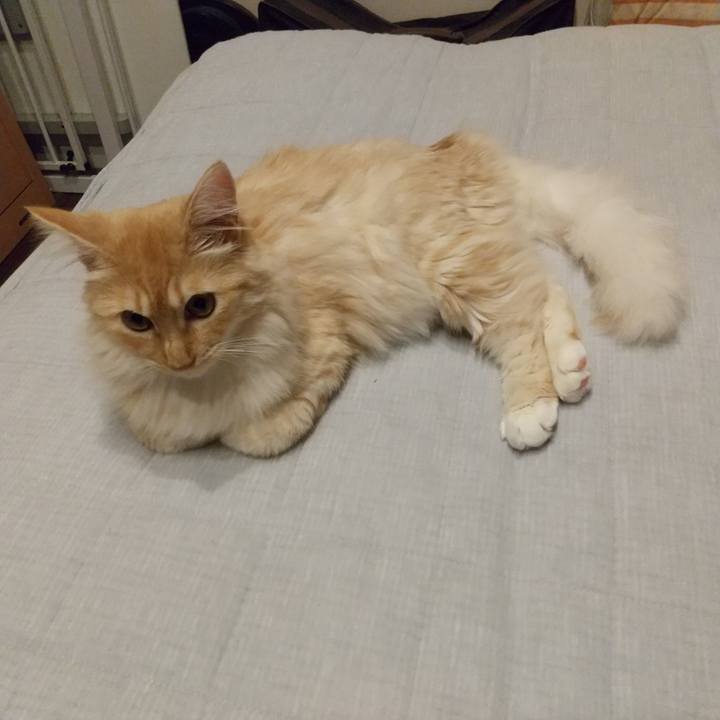 7c8a0871 59e6 4843 b00d 2cf48691b5cf 1623753832435