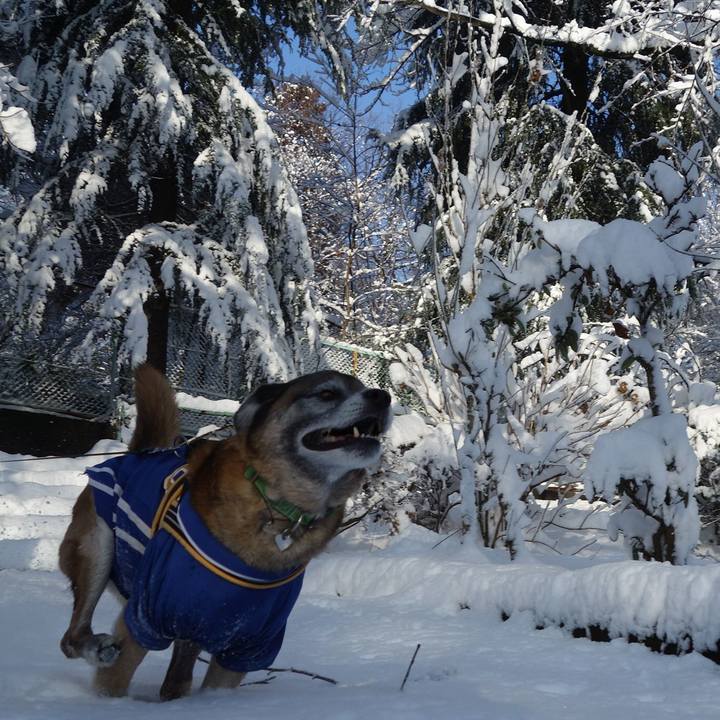 7c8a2d98 7766 4aa2 9af4 8e50f65f78d2 1628121559099