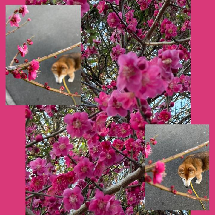 7c8a4f51 1641 45d9 8320 8ed64afae12b 1771836087333