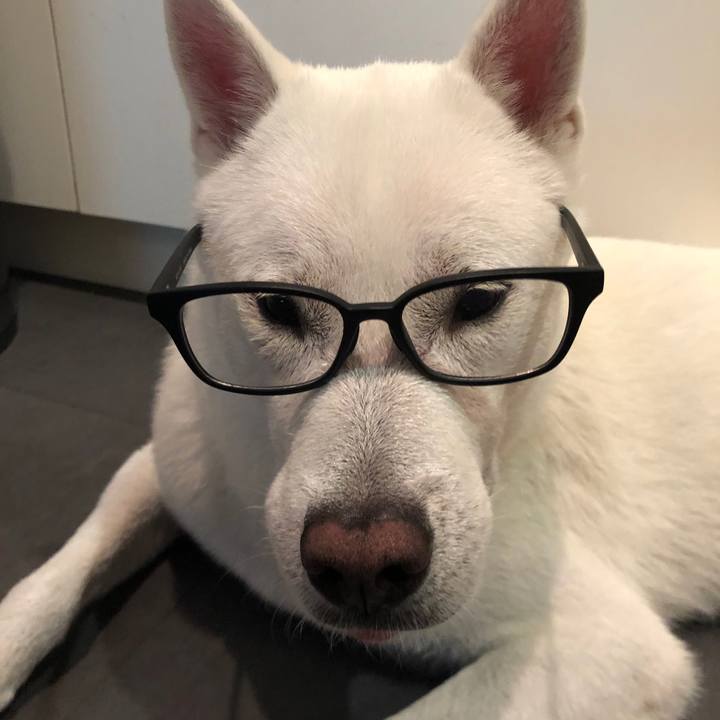 7c8a5aae 6592 4969 b7e6 522b97264870 1594387183481