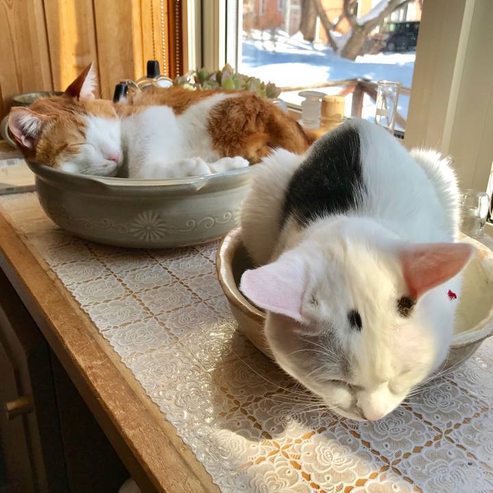 7c8ab6aa d1eb 4def 8d3f bba042bd24c6 1552796027395