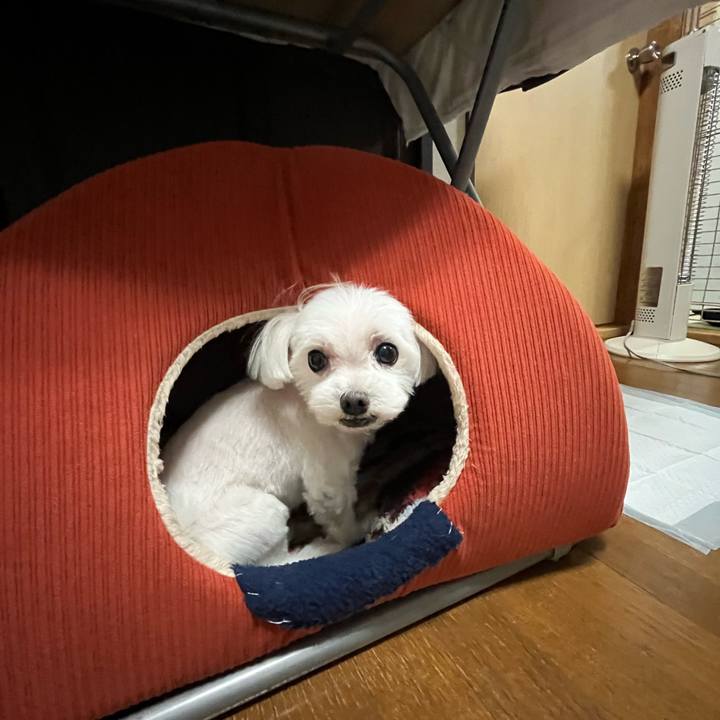 7c8ab7fb 111c 4db8 93b5 197da4dce3a3 1705913850700